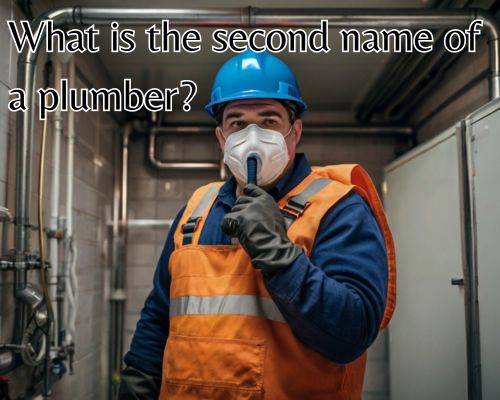 Man in uniform by plumbing fixtures.