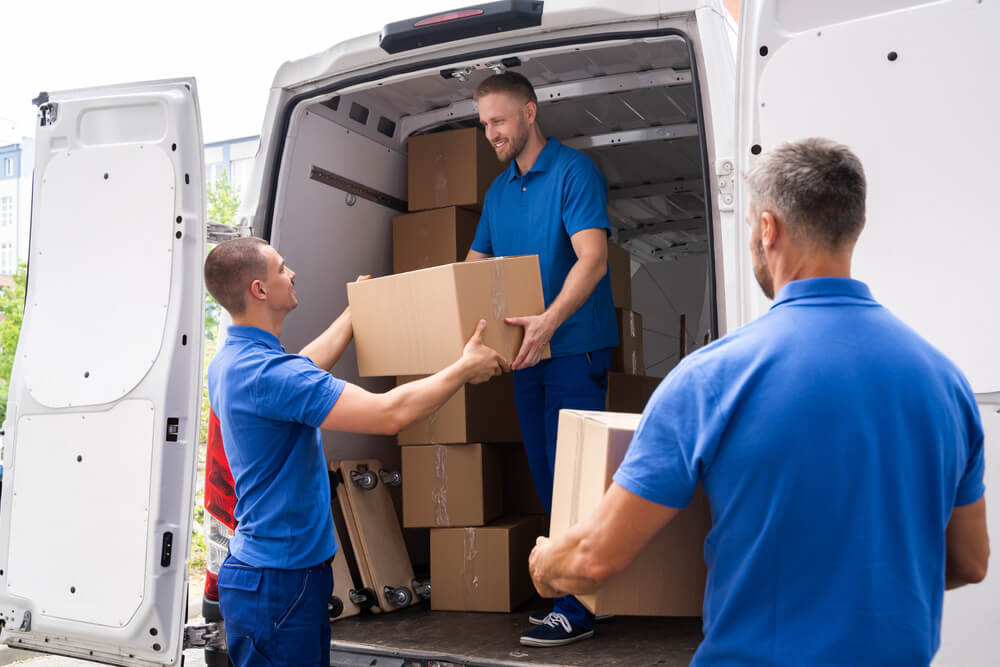 Apartment Moving Services Clifton