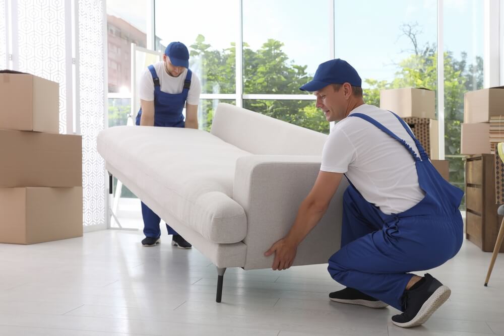 Safe Movers Near Me