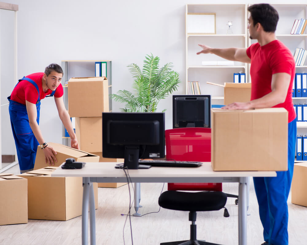 Professional Packing Services