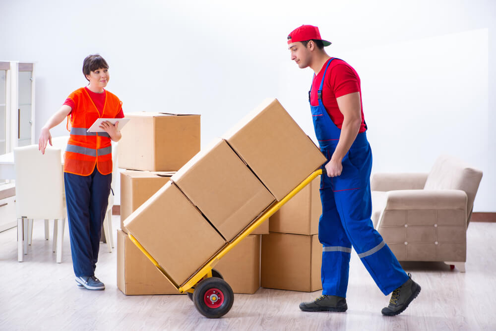 Additional Moving Services Tampa