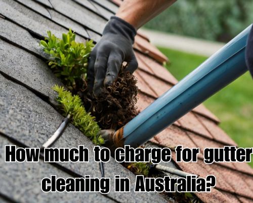 Gutter cleaner cleaning debris.